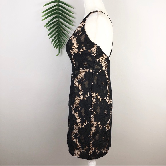 Stylestalker | Revolve “Scarlet” Plunge Lace Dress - Picture 6 of 13